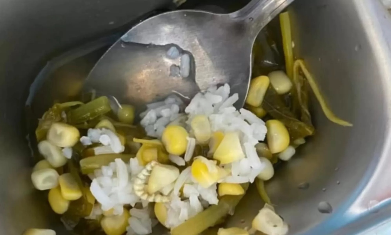 VIRAL: Temuan ulat pada menu MBG di Kecamatan Karang Intan yang beredar di media sosial. (Foto: INSTAGRAM @HABARBJM)