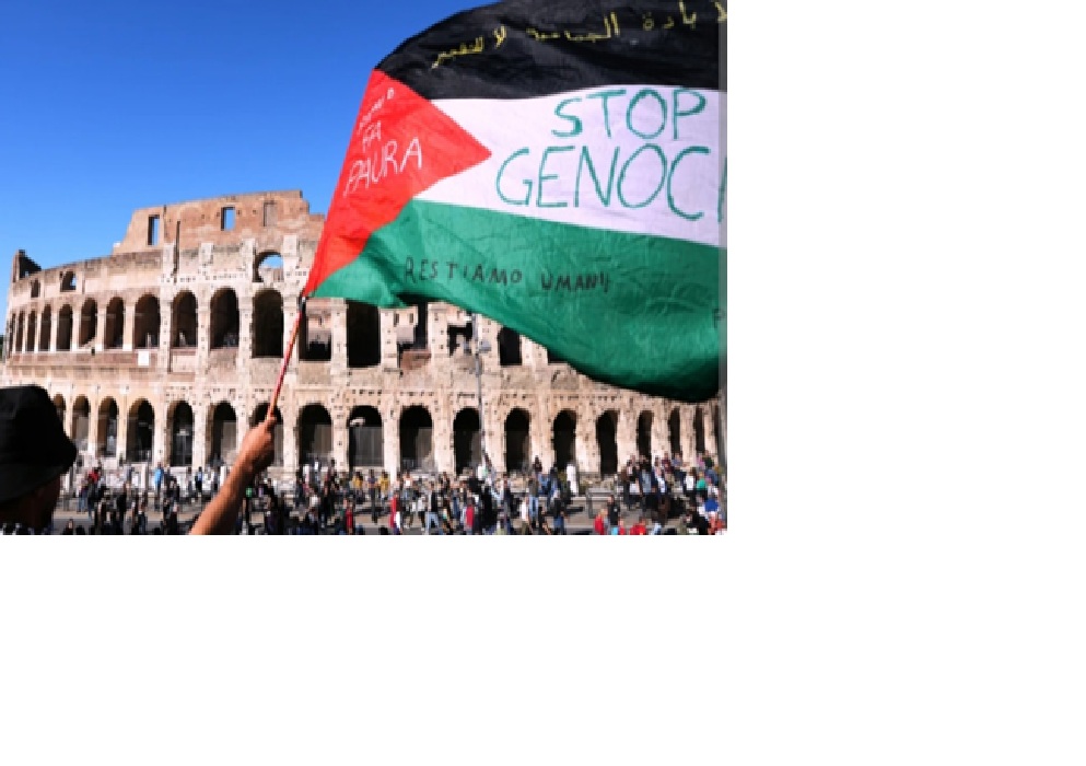 Demo bela Palestina.