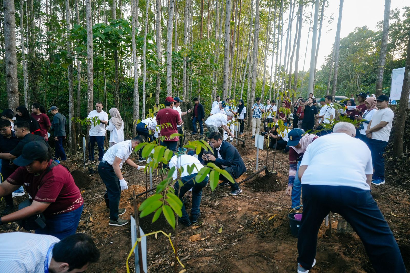 Peserta MIF laksanakan penanaman pohon di IKN.