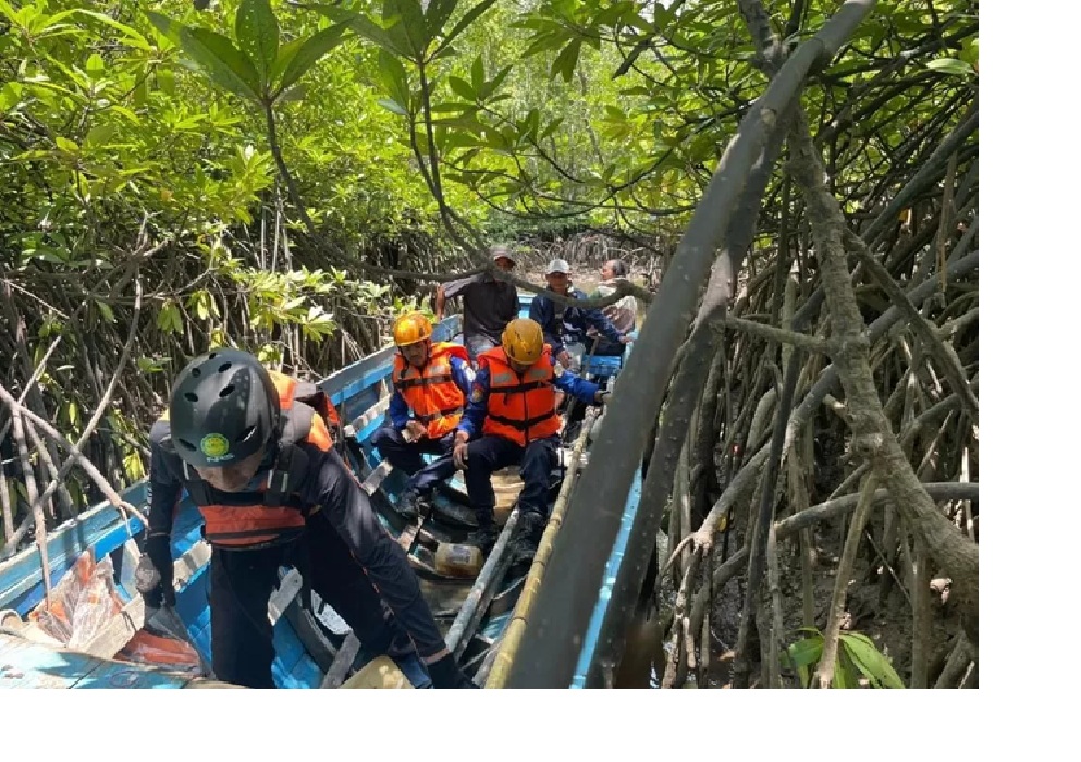 Tim SAR terus melakukan pencarian terhadap Pardi Wijaya (31) yang dilaporkan hilang setelah diserang buaya di Sungai Kariangau, Kecamatan Balikpapan Barat, pada Selasa (14/10/2025) sore.