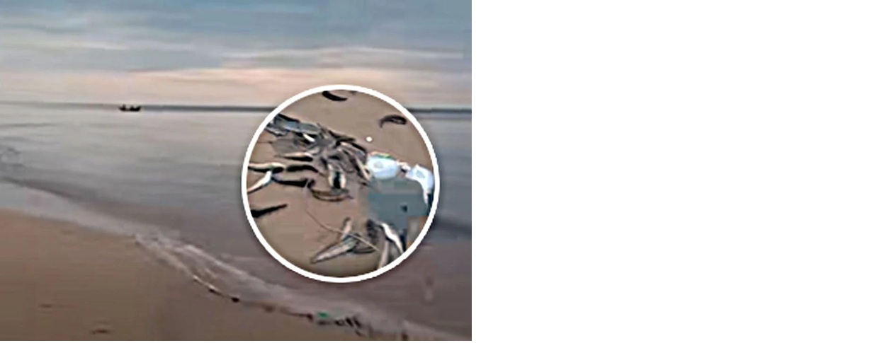 Suasana Pantai Ujung Pandaran, Kecamatan Teluk Sampit, usai nelayan menangkap banyak sembilang laut, Selasa (21/10/2025).