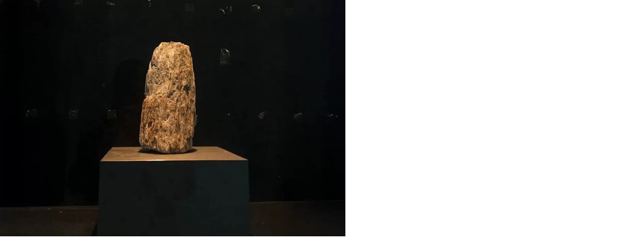 Fosil kayu purba yang menjadi koleksi Museum Kayu Sampit sukses diabadikan oleh bidikan kamera salah satu fotografer dalam sebuah bingkai yang memikat.