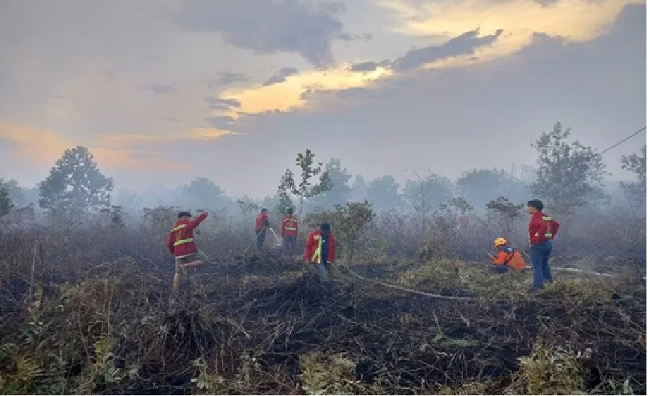 Tim gabungan berupaya memadamkan api karhutla di Desa Kuala Dua, Kecamatan Sungai Raya, pada Jumat (13/6). (ISTIMEWA)