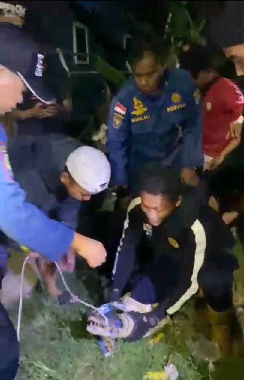 Buaya yang meresahkan warga di pelabuhan tunon taka akhirnya dievakuasi FOTO:DOK DISDAMKARTAN NUNUKAN