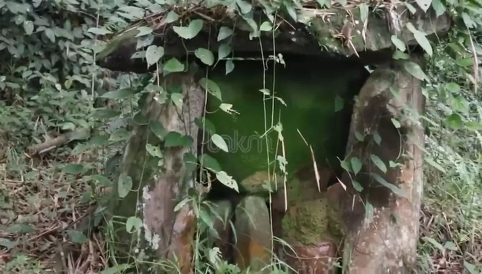 JEJAK MEGALITIKUM: Kuburan batu peninggalan Megalitikum di kawasan Taman Nasional Kayan Mentarang. (DOK TNKM)