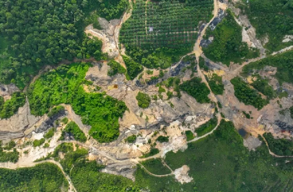 Pembukaan lahan bekas tambang ilegal di wilayah Bukit Tengkorak, Taman Hutan Raya Bukit Soeharto, Kabupaten Kutai Kartanegara. (OTORITA IKN)