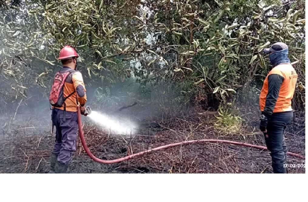 Kebakaran hutan di Jalan Ahmad Yani, Kelurahan Baru, Kecamatan Arut Selatan, Senin (17/02/2025). ISTIMEWA/RADAR PANGKALAN BUN