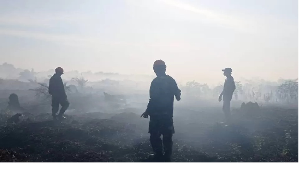 ILUSTRASI Petugas saat memadamkan titik api di wilayah Kabupaten Mempawah. (DOK PONTIANAK POST)