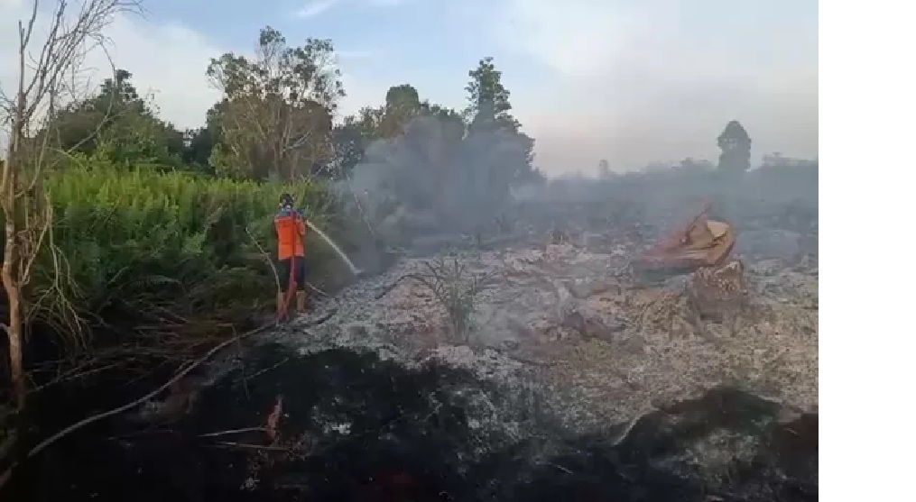 Kebakaran hutan dan lahan di Jalan Ahmad Shaleh ruas jalan penghubung Pangkalan Bun menuju Kotawaringin Lama, Kecamatan Arut Selatan, Kabupaten Kotawaringin Barat, Senin (19/1) (BPBD KOBAR)