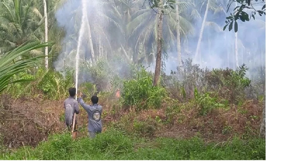 KARHUTLA: petugas Damkar saat memadamkan kebakaran lahan di Desa Peniti Luar. (ISTIMEWA)