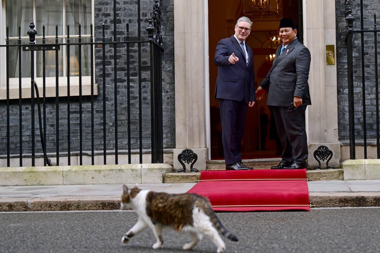 Seekor kucing bernama Larry melintas saat Prabowo menyambangi kediaman resmi Perdana Menteri Inggris di 10 Downing Street, London.