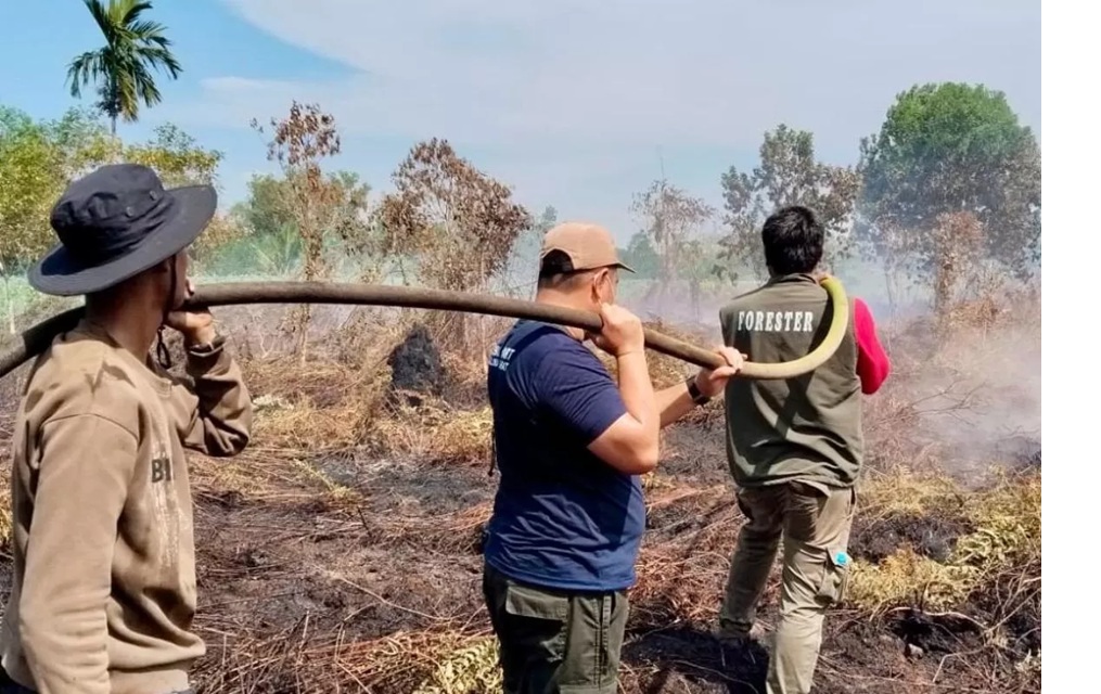 Petugas pengendalian karhutla, DLHK Kalbar melakukan upaya pemadaman api yang membakar lahan di Kabupaten Kubu Raya dan Mempawah. (ISTIMEWA)