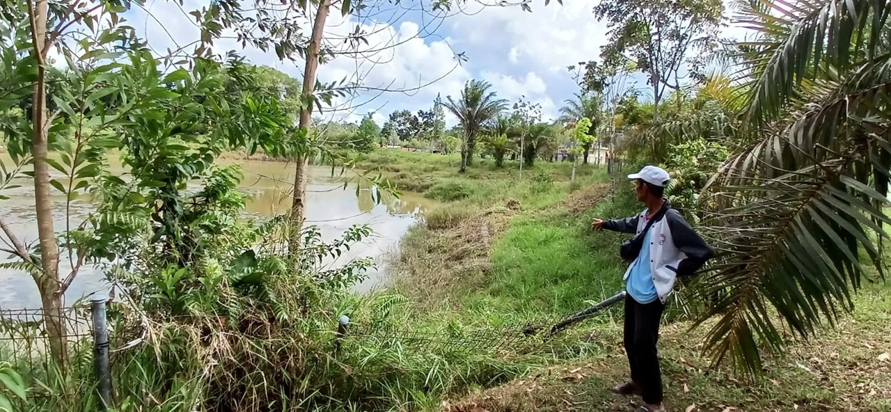 MENUNJUKKAN: Petugas penjaga Embung Persemaian menunjukan titik korban diterkam kepada wartawan Radar Tarakan. (AGUS DIAN ZAKARIA/RADAR TARAKAN)