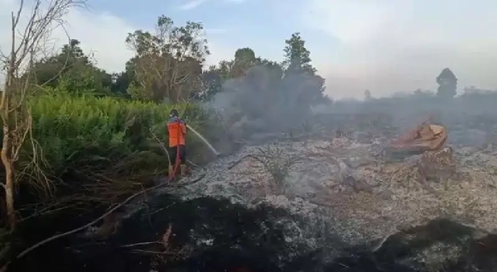: Kebakaran hutan dan lahan di Jalan Ahmad Shaleh ruas jalan penghubung Pangkalan Bun menuju Kotawaringin Lama, Kecamatan Arut Selatan, Kabupaten Kotawaringin Barat