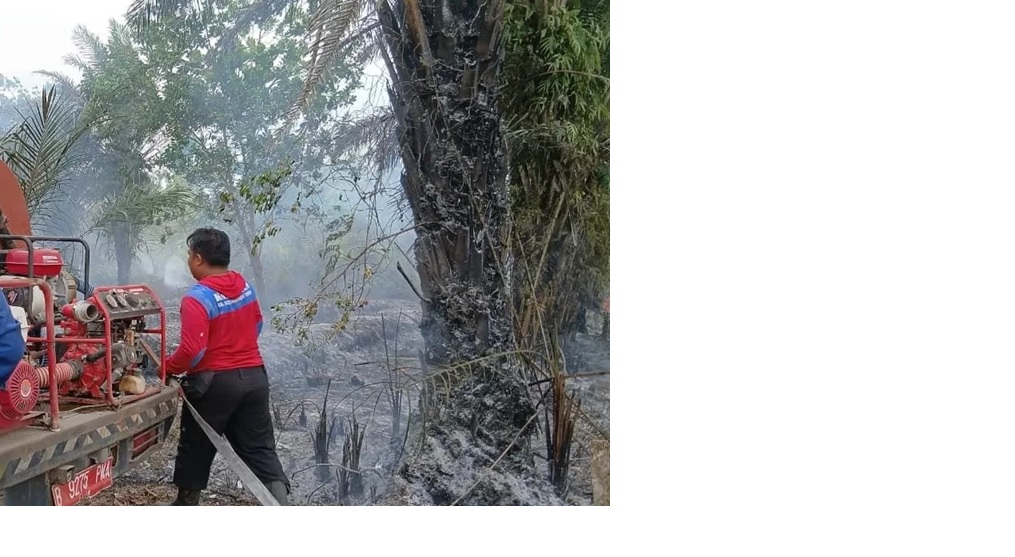Kebakaran lahan di Jalan Robby, dekat Jalan Sudirman Sampit, wilayah Kecamatan Mentawa Baru Ketapang, Rabu (21/1/2026). (istimewa/trc bpbd kotim)