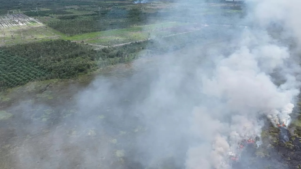 Ilustrasi: Kebakaran lahan di Kabupaten Kotim beberapa waktu lalu