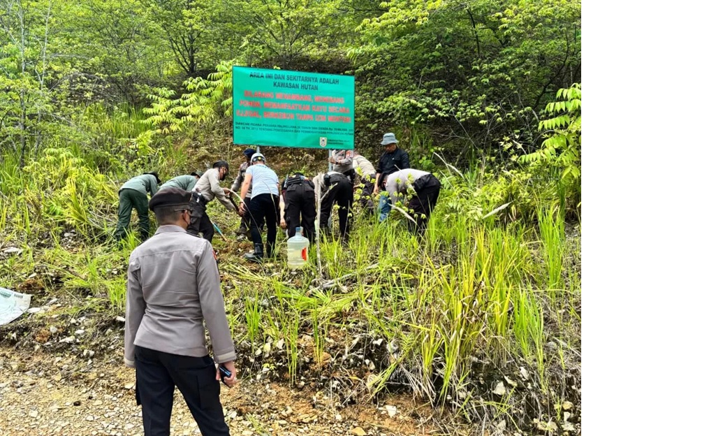 Tim Gabungan saat memasang papan peringatan di kawasan hutan lindung, Kandangan (Polisi Kehutanan )
