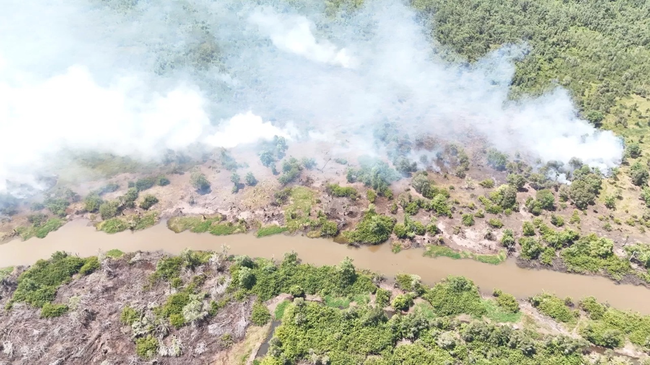 Lokasi kebakaran di wilayah Desa Natai Baru, Kecamatan Mentaya Hilir Utara, sulit dijangkau oleh pemadaman darat. (TRC BPBD Kotim)
