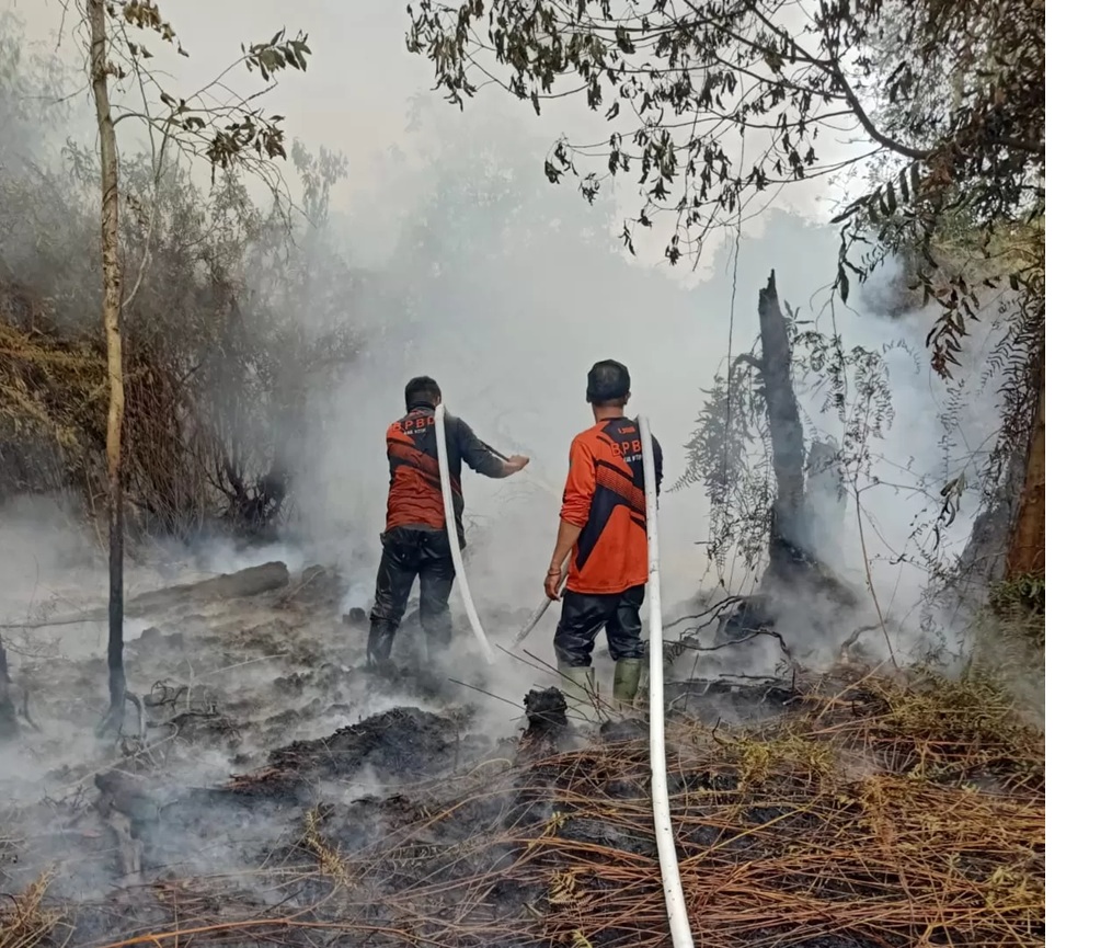 Pemadaman kebakaran lahan di Jalan Sawit Raya, Rabu (28/1) sore. (istimewa/BPBD Kotim)