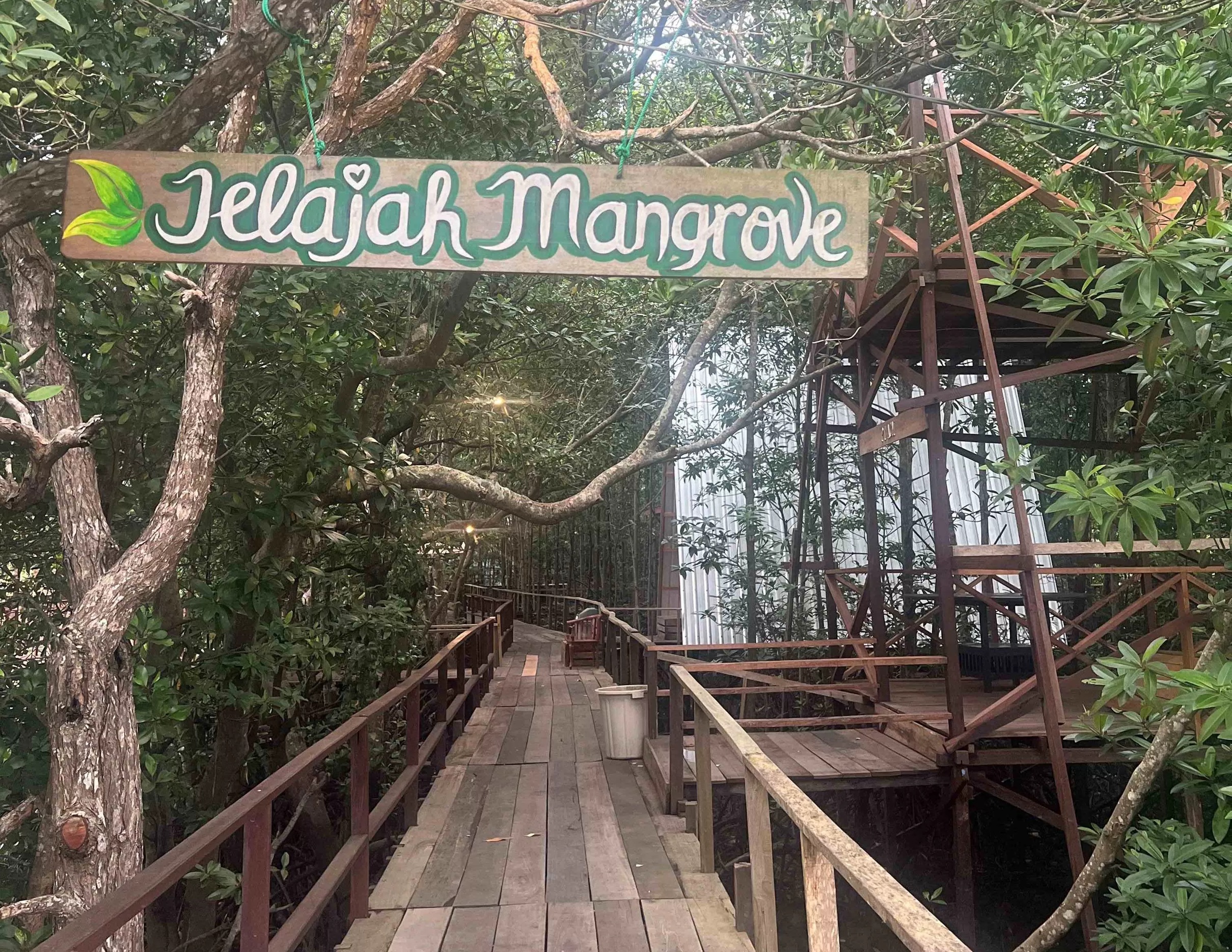 Hutan mangrove di Hendrawisata Pesona Mangrove Balikpapan.