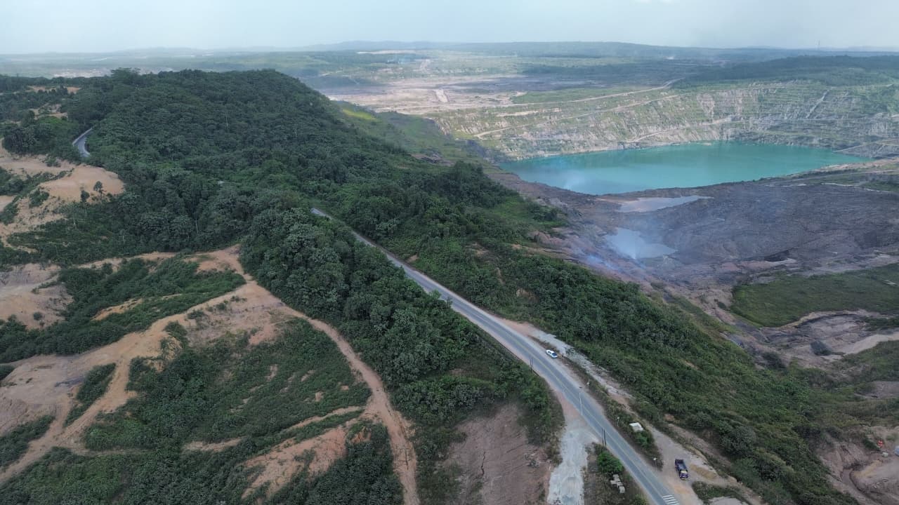 Land clearing mendekati jalan, mempersempit habitat  membuaat orangutan cari makan di tempat sampah di Simpang Perdau Muara Wahau Kutai Timur.