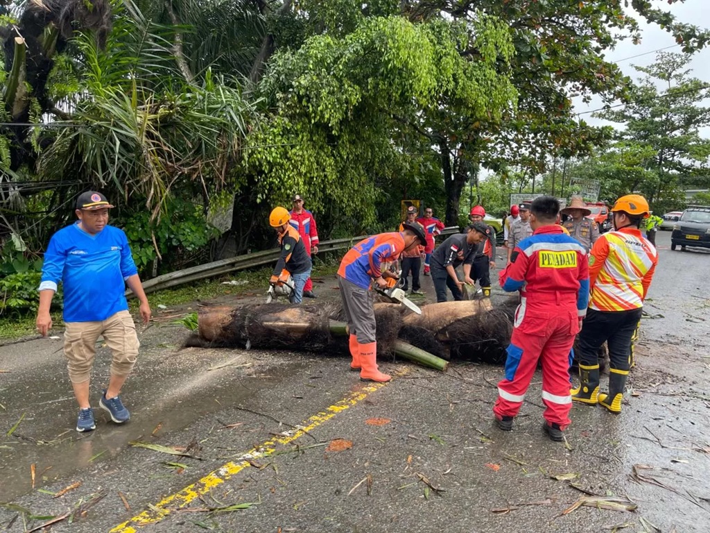 EVAKUASI POHON: Tim dari BPBD Kabupaten Tapin mengevakuasi batang pohon tumbang yang menimpa kendaraan. (BPBD TAPIN)