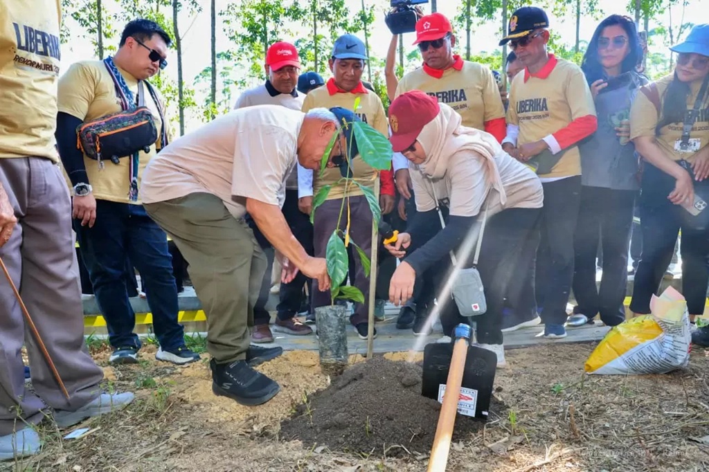 Otorita IKN bersama Bank Indonesia mendorong pengembangan Kopi Liberika di Sepaku, PPU, untuk memperkuat ekonomi lokal dan daya saing petani di wilayah penyangga IKN.(FOTO:IST)