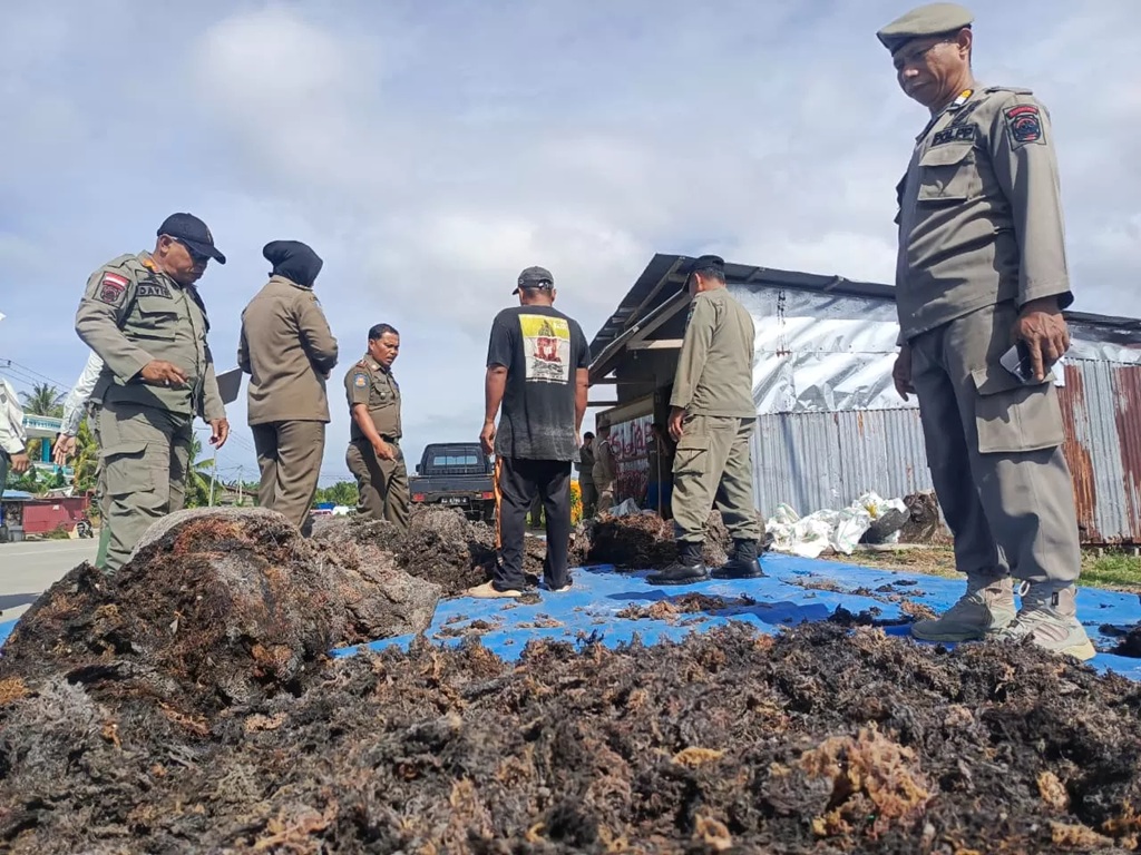 PENERTIBAN : Personel Satpol PP Nunukan melakukan penertiban kepada pembudidaya rumput laut yang melakukan penjemuran menggunakan ruas jalan.