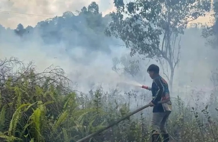 KARHUTLA: Di awal tahun 2026 sudah ada 11 peristiwa karhutla yang terjadi di Kota Tarakan. (AGUS DIAN ZAKARIA/RADAR TARAKAN)