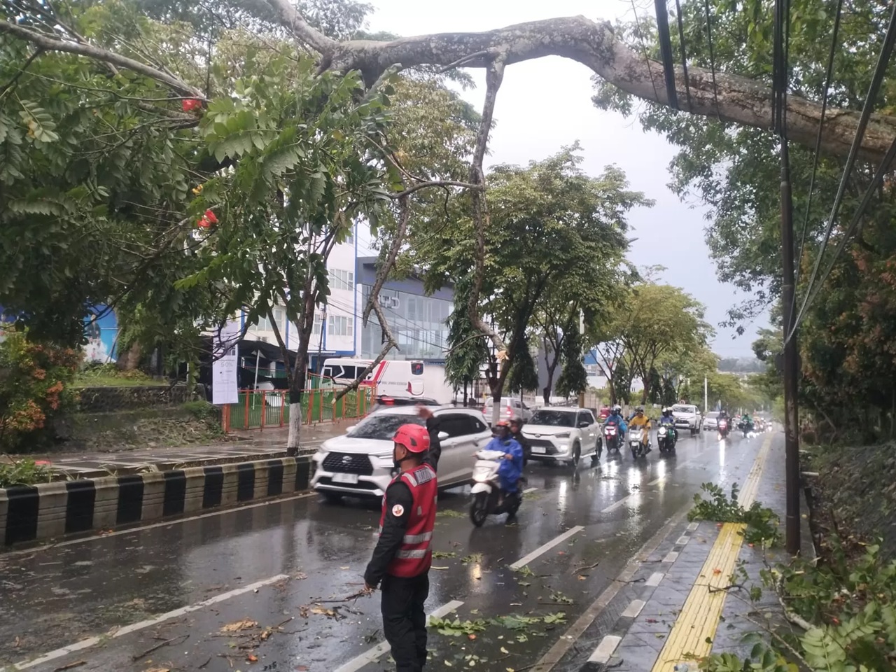 Petugas berjaga di lokasi pohon tumbang yang melintang di jalan akibat hujan dan angin kencang, mengganggu arus lalu lintas dan membahayakan pengguna jalan.