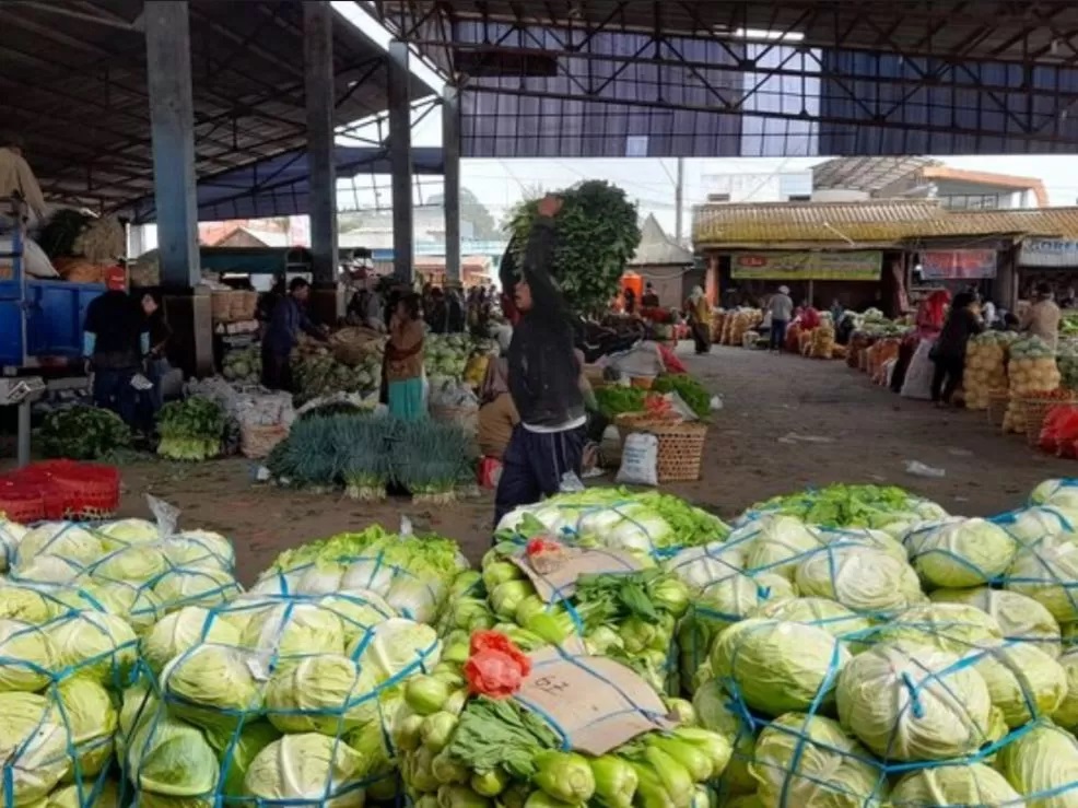 Ekspor sayur naik.