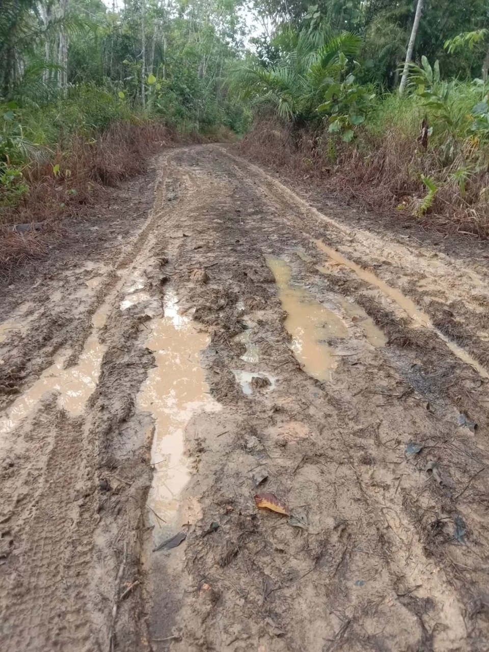 RUSAK : Kondisi ruas jalan menuju Dusun Penolat Desa Jongkong Kiri (Joki) Tengah rusak parah. (ISTIMEWA)