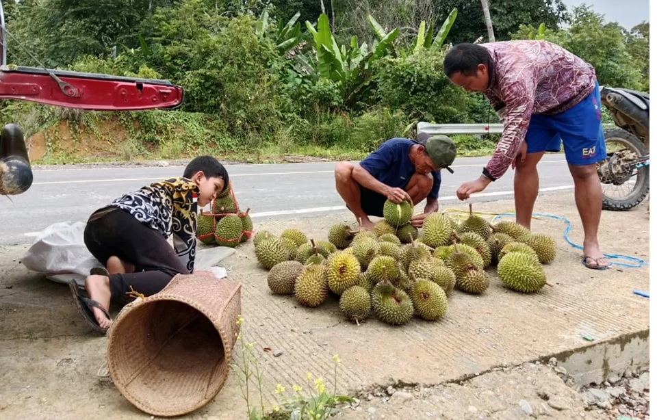 Penjual durian di Mahulu. (FOTO JODY KRISTIANTO/KP) (JODY KRISTIANTO/KP)