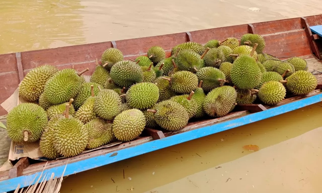 Durian asal Mahulu.