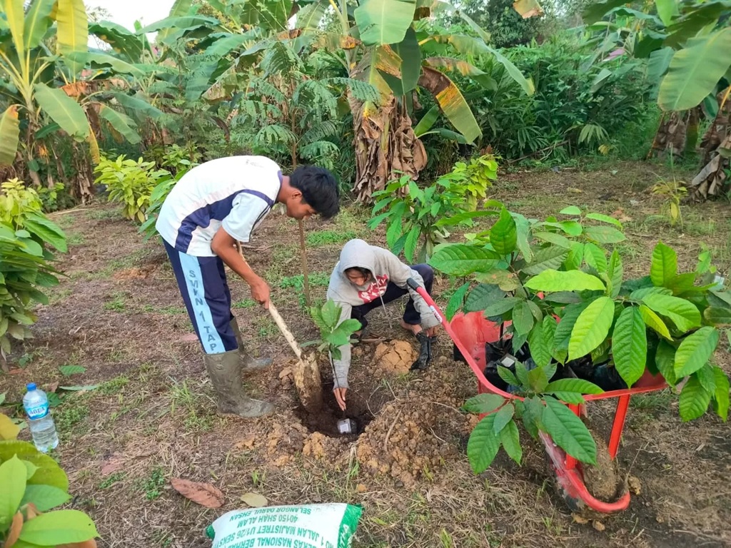 PERTANIAN: Penurunan NTP dipengaruhi melemahnya kinerja sebagian besar subsektor pertanian, khususnya tanaman pangan, hortikultura, dan perkebunan rakyat. (FAISAL/HRK)