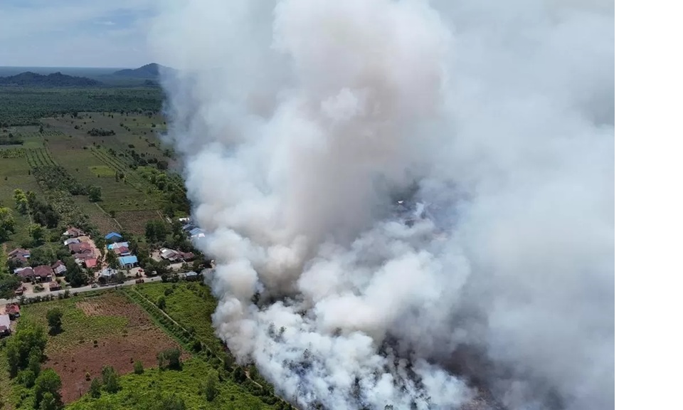 Asap pekat membumbung tinggi akibat kebakaran lahan di di Desa Galang Kecamatan Sungai Pinyuh Kabupaten Mempawah pada Senin (9/2). (ISTIMEWA)