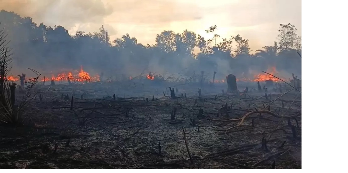 KARHUTLA: Kebakaran Hutan dan Lahan di Jalan Pasir Putih, Desa Sungai Kapitan, Kecamatan Kumai, Kabupaten Kotawaringin Barat (Kobar), Jumat (31/1/2026). FOTO: BPBD KOBAR/RADAR SAMPIT 