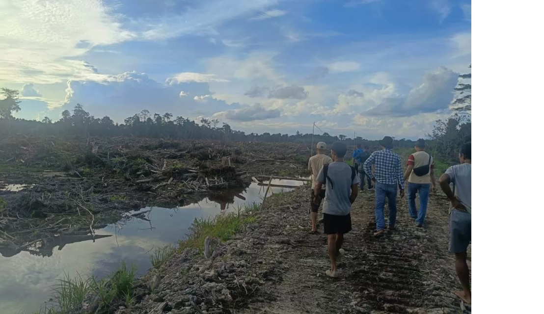 Program cetak sawah baru di Kalbar.