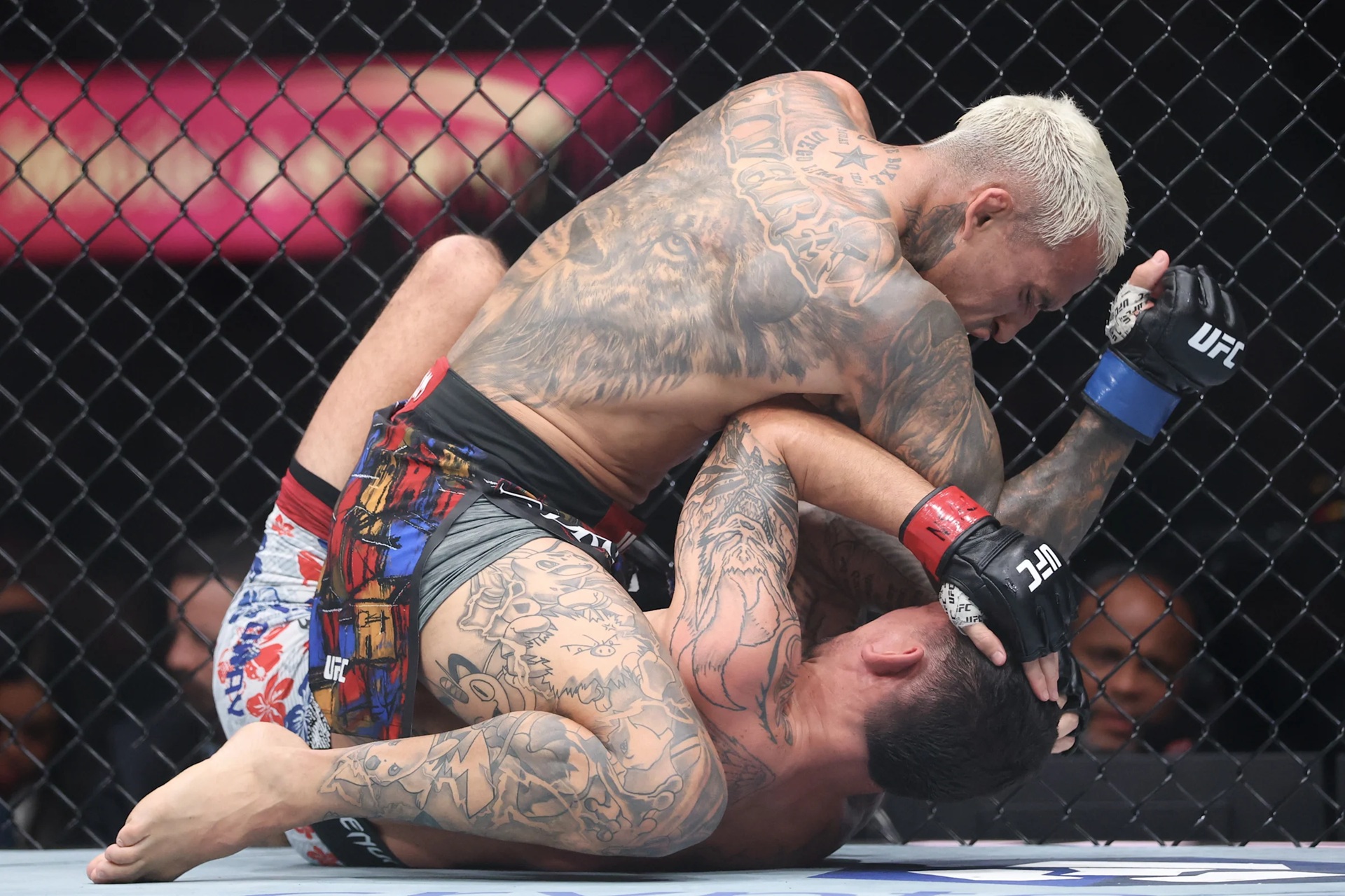 Oliviera menghujani Max Holloway dengan sikut dan pukulan.