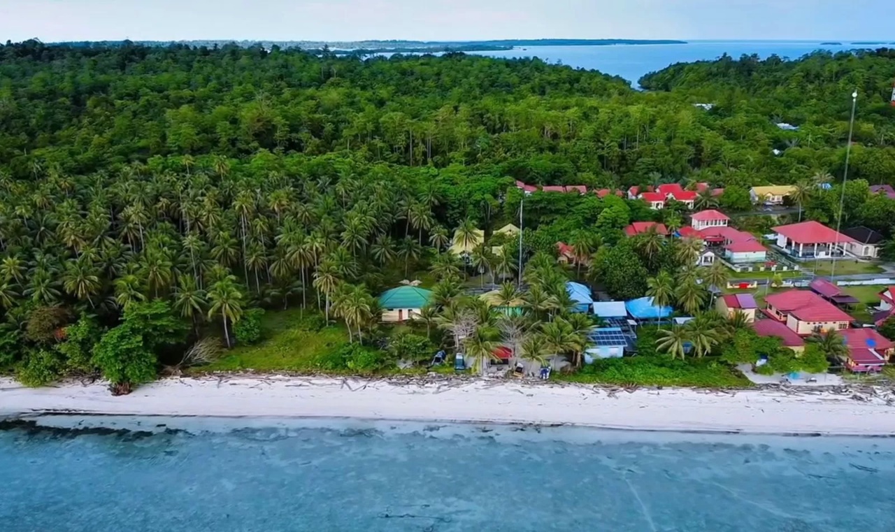 TERKENDALA: Terdapat sejumlah kendala dalam upaya peremajaan kalapa di Maratua. (IZZA/BP) 