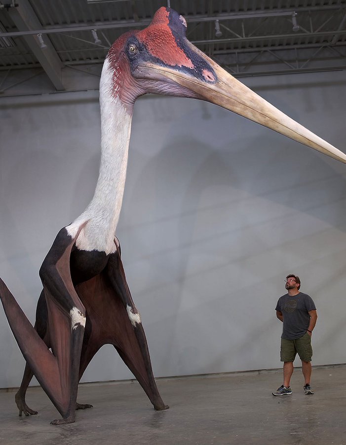 Quetzalcoatlus, reptil terbang purba yang kini dinobatkan oleh para peneliti sebagai hewan terbesar yang pernah menguasai angkasa.