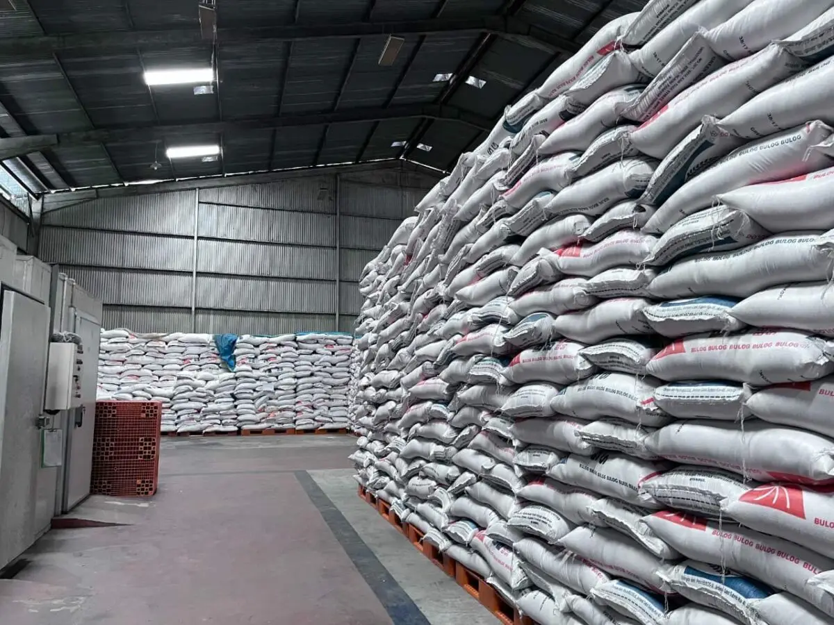 Ilustrasi beras Bulog.
