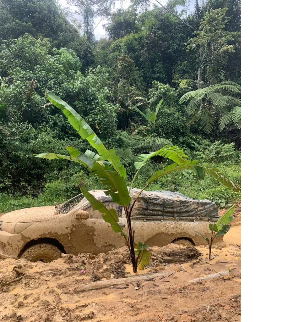 Kondisi jalan antar kecamatan di Krayan berubah menjadi lahan pertanian, warga pun menanam pohon pisang sebagai bentuk protes.