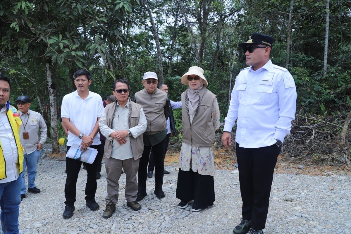 Wagub dan Sekda saat tinjau jalan.