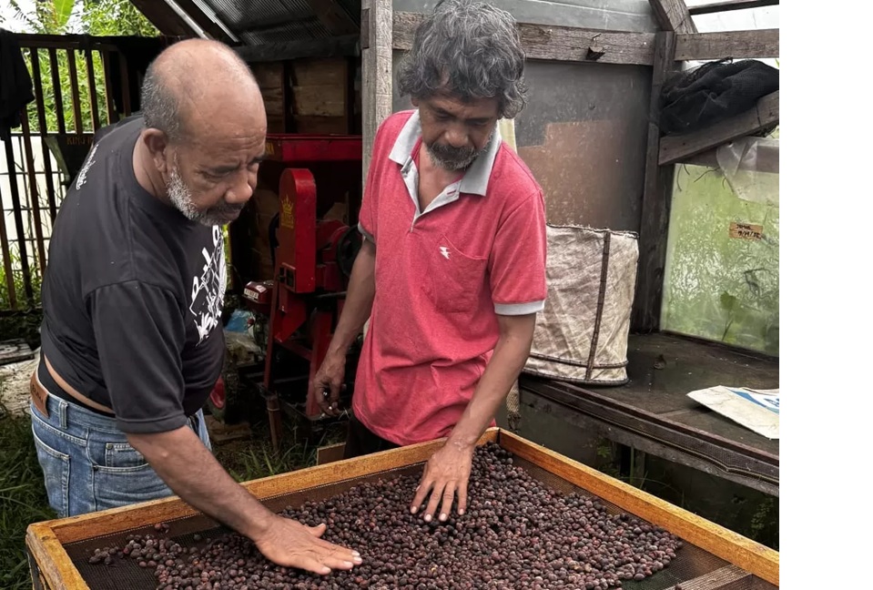 Salah satu kelompok tani kopi di Kampung Sambakungan mampu menghasilkan kopi liberika yang pernah menyabet juara nasional.
