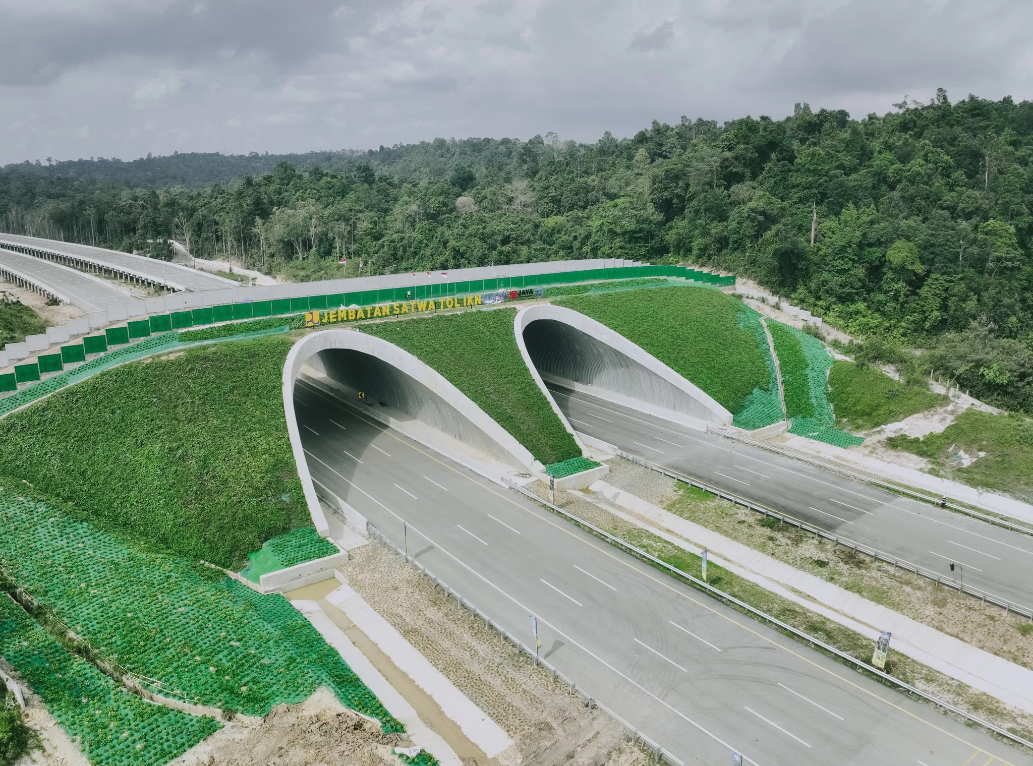Jembatan satwa (wildlife crossing) di ruas Tol IKN Segmen 3B-2 Kariangau &ndash; Simpang Tempadung dibangun untuk menjaga koridor perlintasan satwa liar. (*)