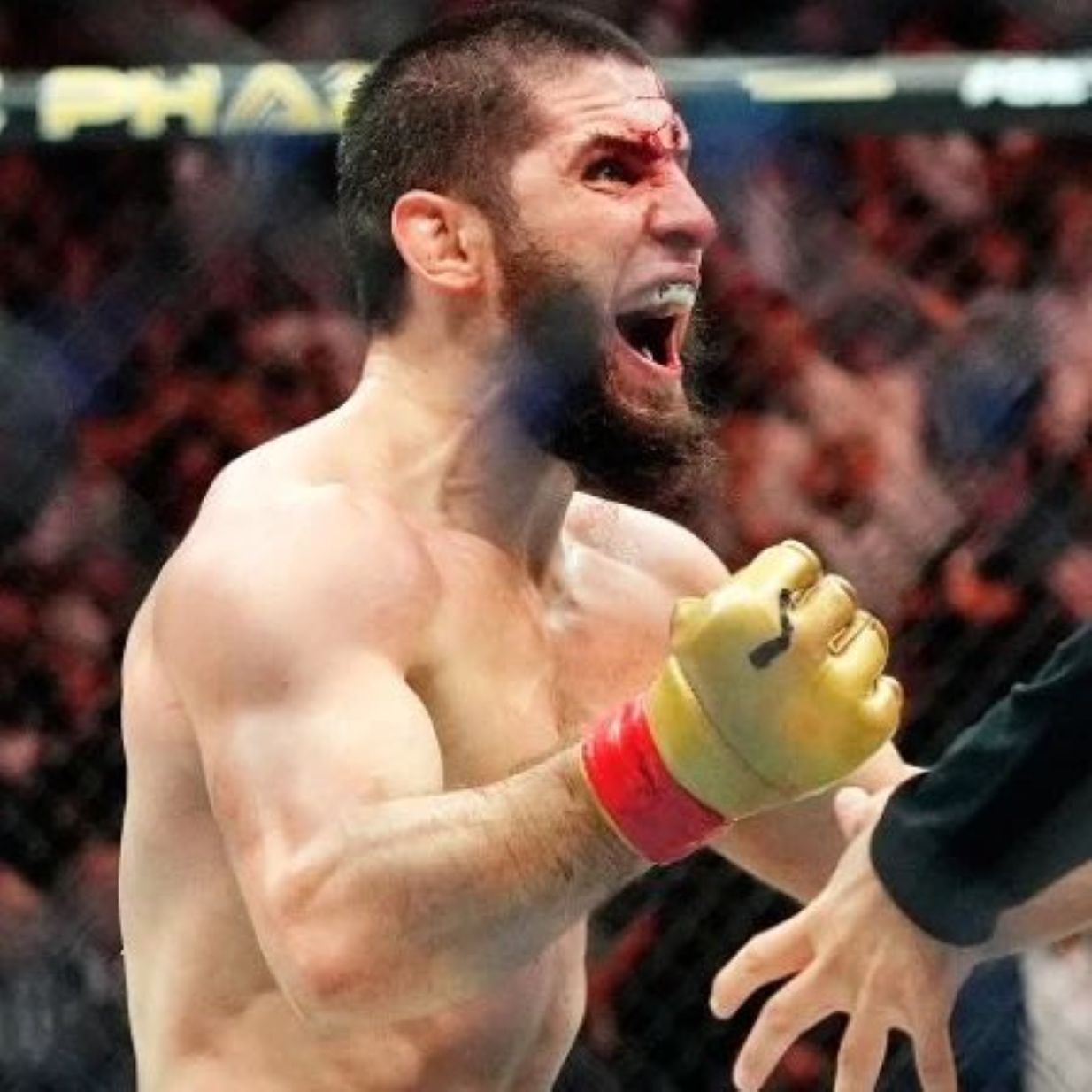 Islam Makhachev