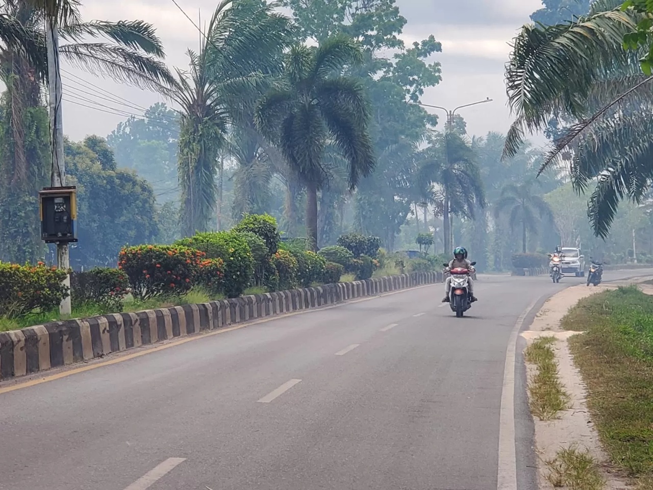 Asap akibat kebakaran lahan di Jalan Jenderal Sudirman Km 2, 5 Sampitmenggagu jarak pandang pengguna jalan, Rabu (18/3/2026). 