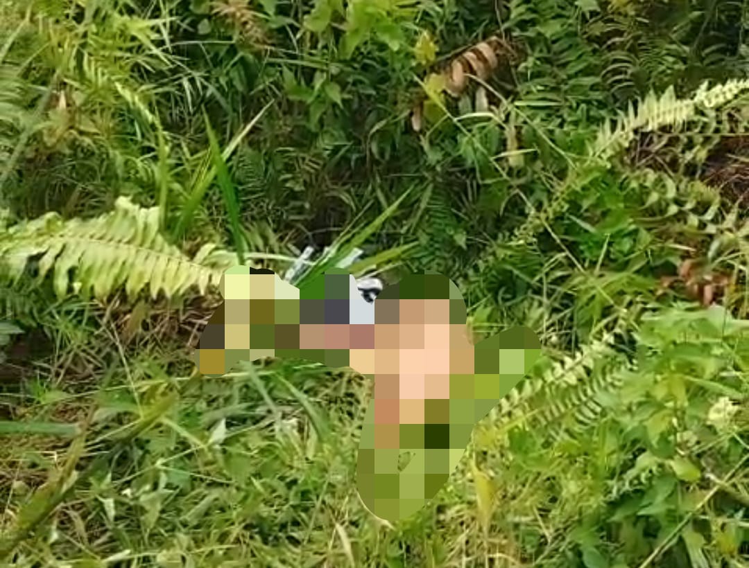 Temuan mayat di Sempaja, Samarinda.