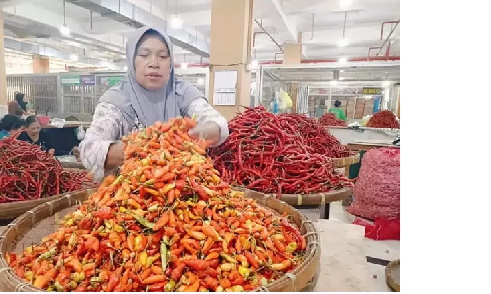 Harga cabai di Samarinda naik drastis menjadi Rp 200 ribu per kilo, harga inipun dikeluhkan masyarakat.